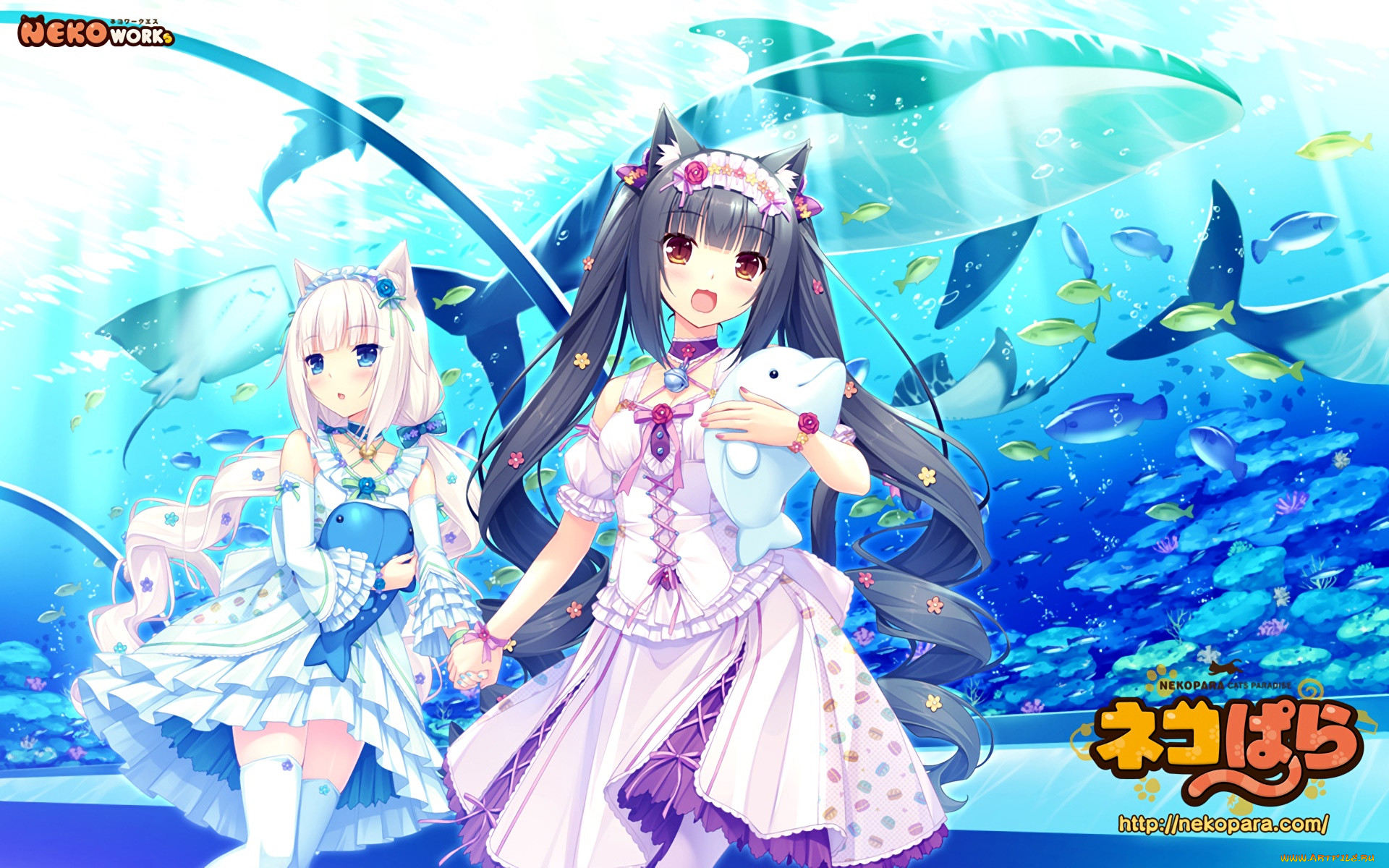 , nekopara, , , 